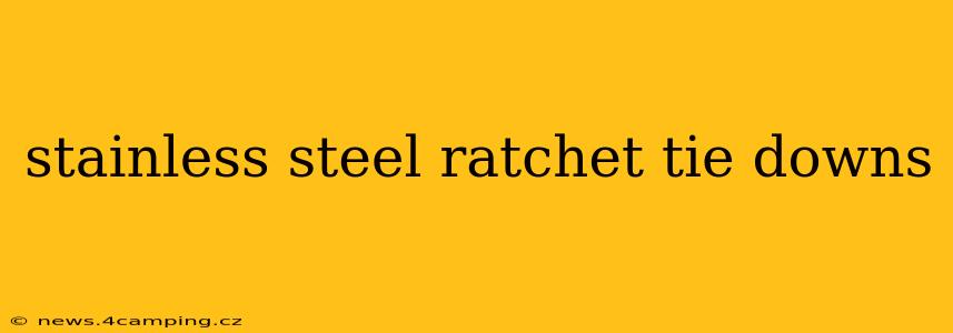 stainless steel ratchet tie downs