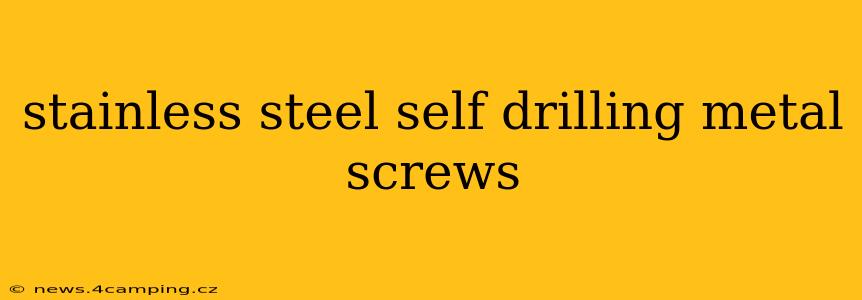 stainless steel self drilling metal screws