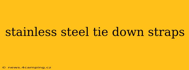 stainless steel tie down straps