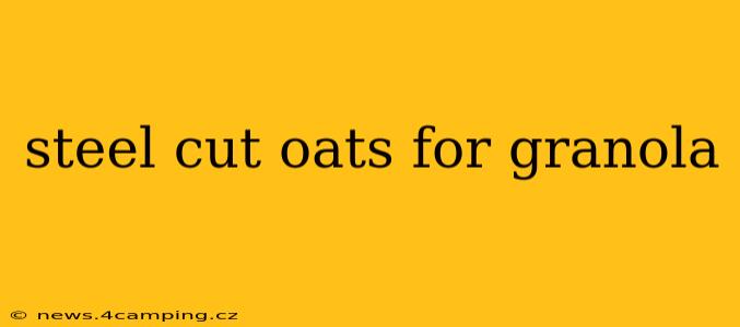 steel cut oats for granola