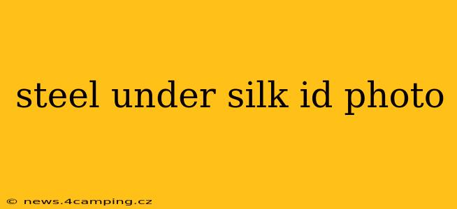 steel under silk id photo
