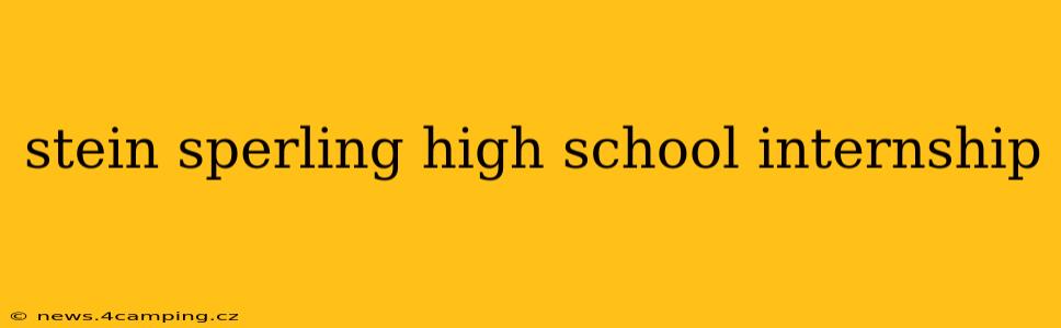 stein sperling high school internship