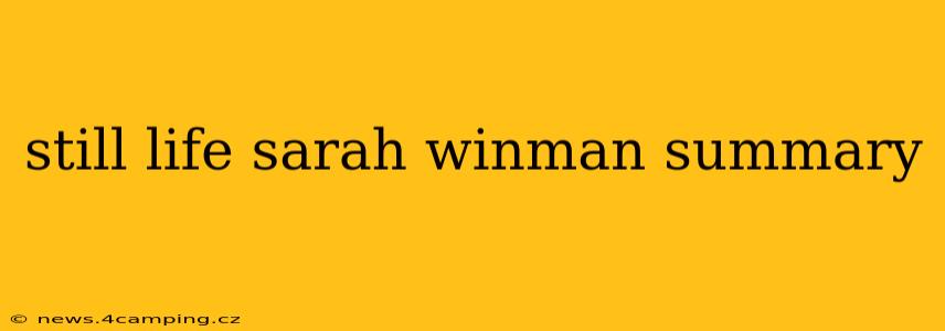 still life sarah winman summary