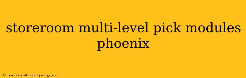 storeroom multi-level pick modules phoenix