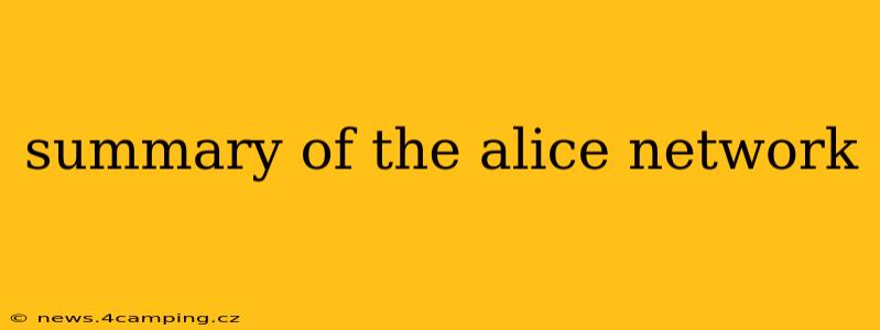summary of the alice network
