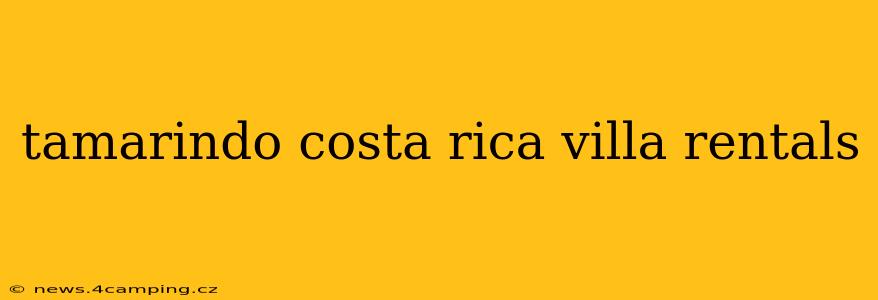 tamarindo costa rica villa rentals