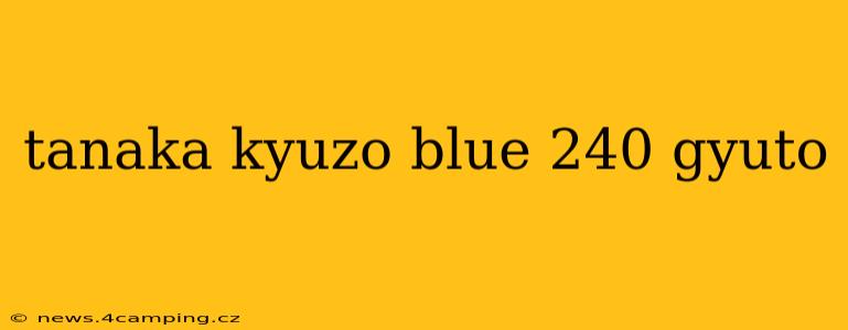 tanaka kyuzo blue 240 gyuto