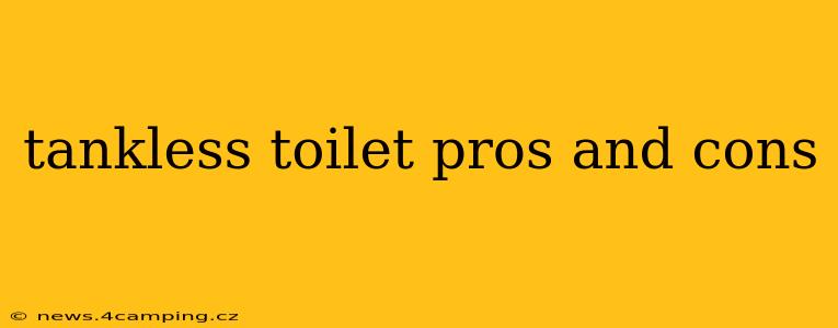 tankless toilet pros and cons