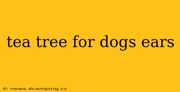 tea tree for dogs ears