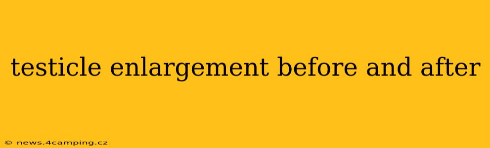 testicle enlargement before and after
