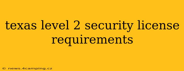 texas level 2 security license requirements