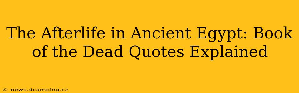 The Afterlife in Ancient Egypt: Book of the Dead Quotes Explained