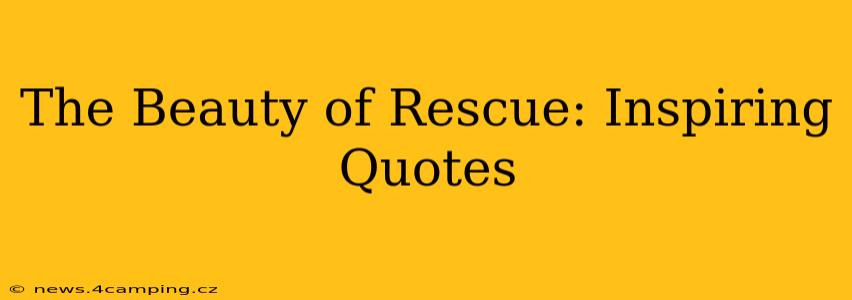 The Beauty of Rescue: Inspiring Quotes