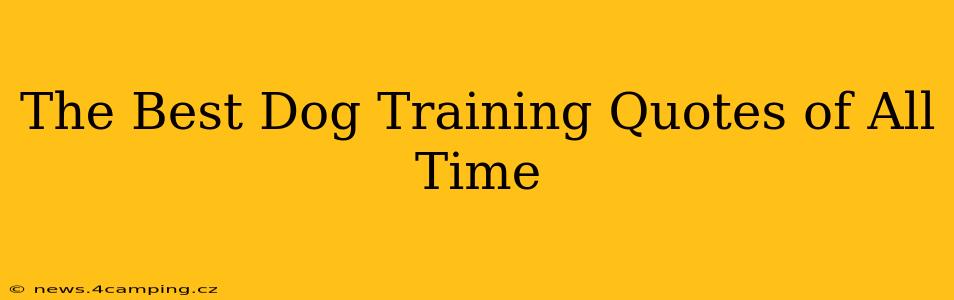 The Best Dog Training Quotes of All Time