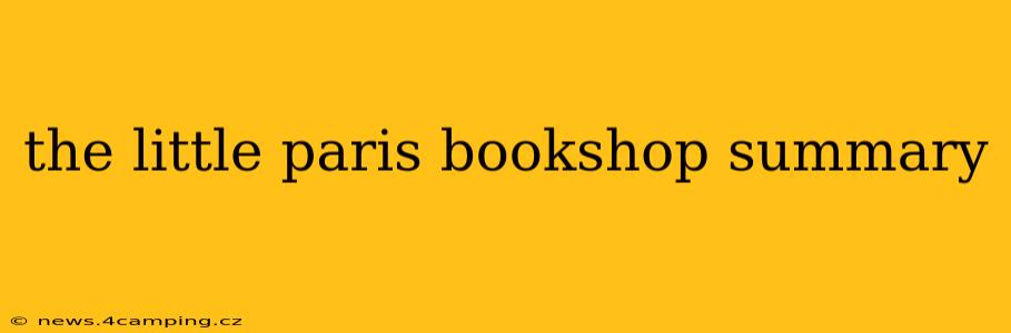 the little paris bookshop summary