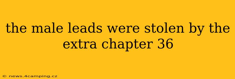 the male leads were stolen by the extra chapter 36