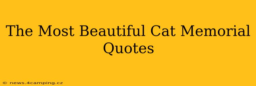 The Most Beautiful Cat Memorial Quotes