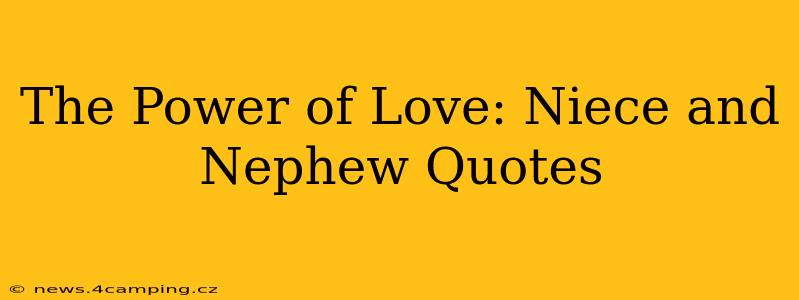 The Power of Love: Niece and Nephew Quotes