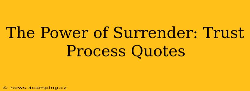 The Power of Surrender: Trust Process Quotes