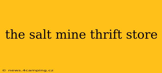 the salt mine thrift store