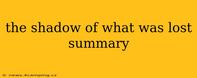 the shadow of what was lost summary