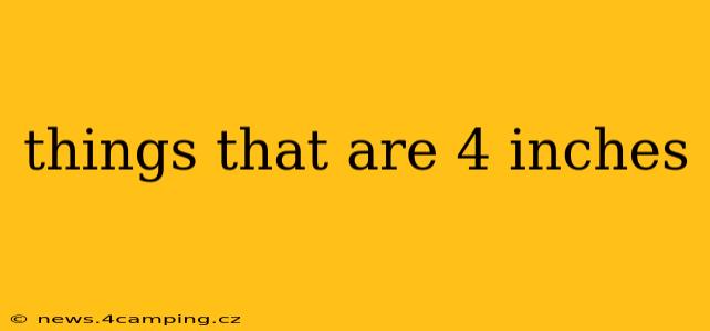 things that are 4 inches