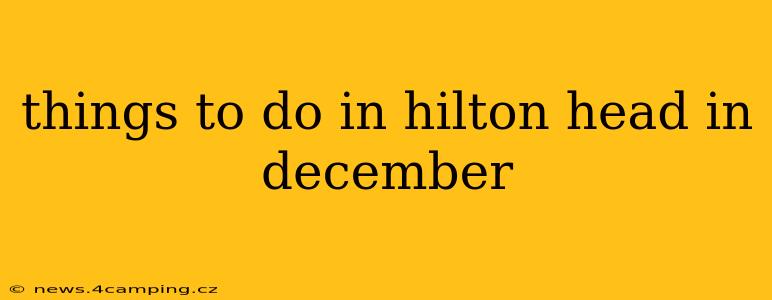 things to do in hilton head in december