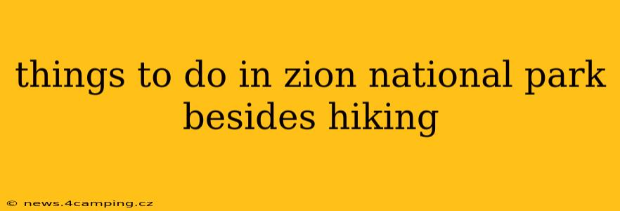 things to do in zion national park besides hiking