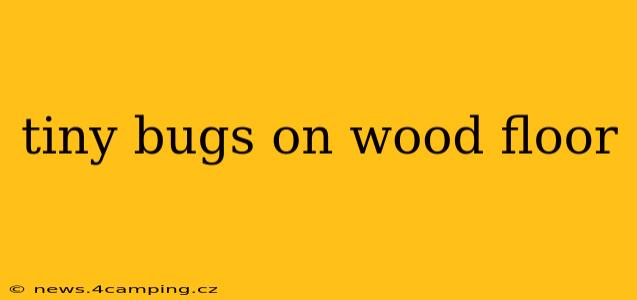 tiny bugs on wood floor