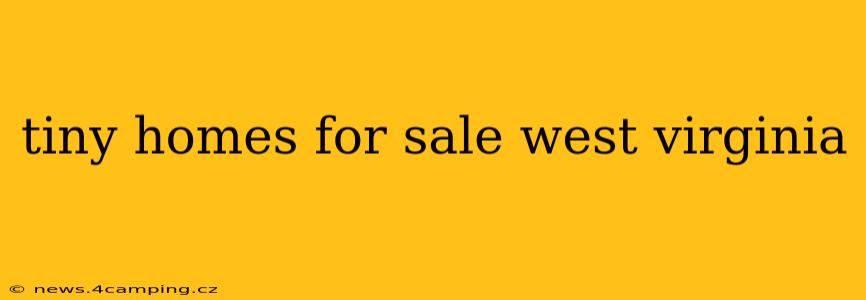 tiny homes for sale west virginia