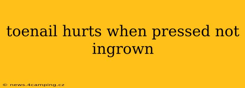 toenail hurts when pressed not ingrown
