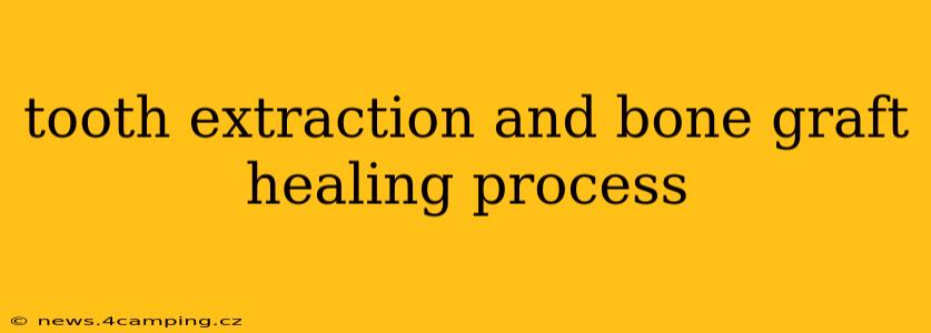 tooth extraction and bone graft healing process