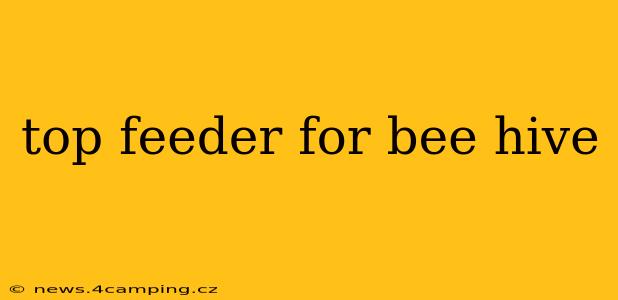 top feeder for bee hive