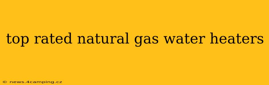 top rated natural gas water heaters