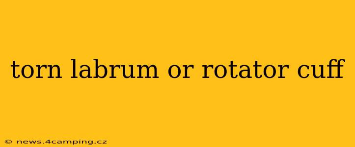 torn labrum or rotator cuff
