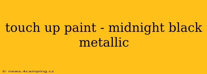 touch up paint - midnight black metallic