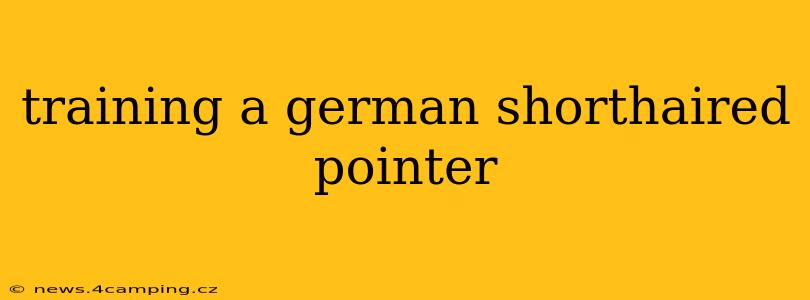 training a german shorthaired pointer