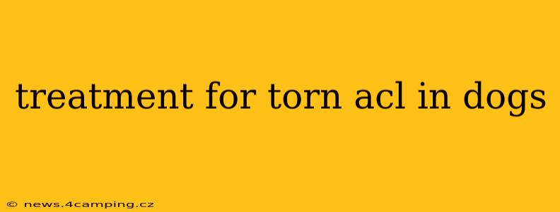 treatment for torn acl in dogs