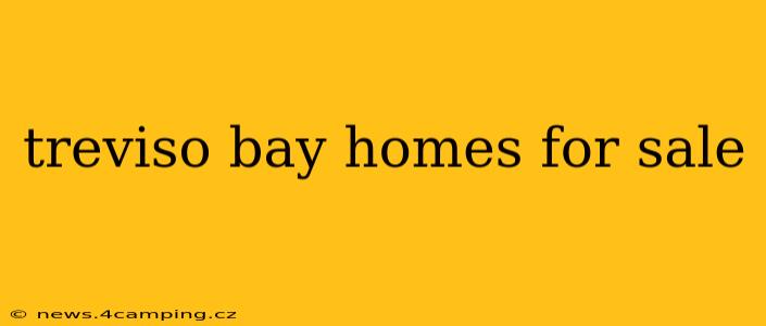 treviso bay homes for sale
