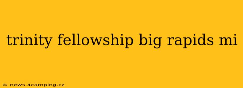 trinity fellowship big rapids mi