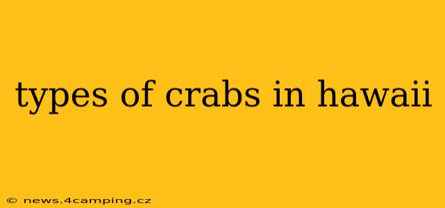 types of crabs in hawaii
