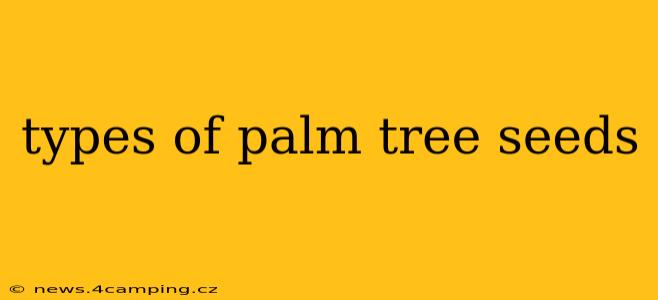 types of palm tree seeds