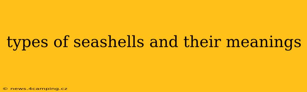 types of seashells and their meanings