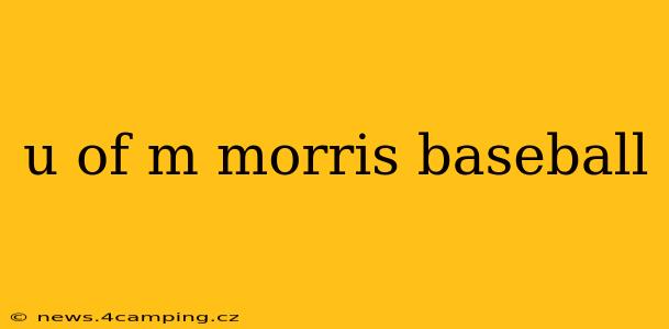 u of m morris baseball