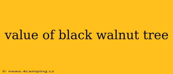 value of black walnut tree