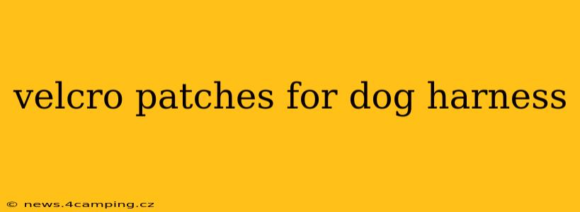 velcro patches for dog harness