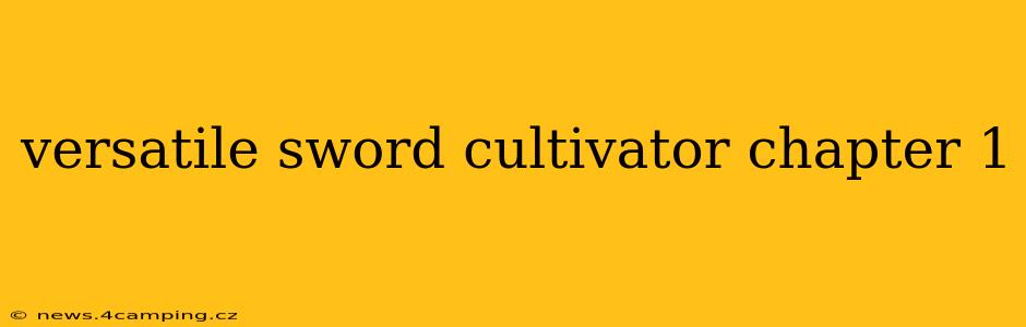 versatile sword cultivator chapter 1