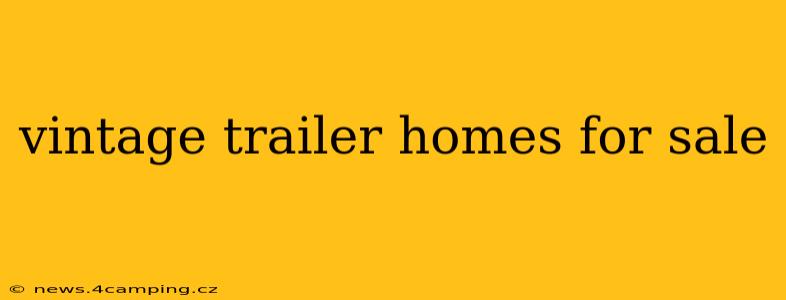 vintage trailer homes for sale