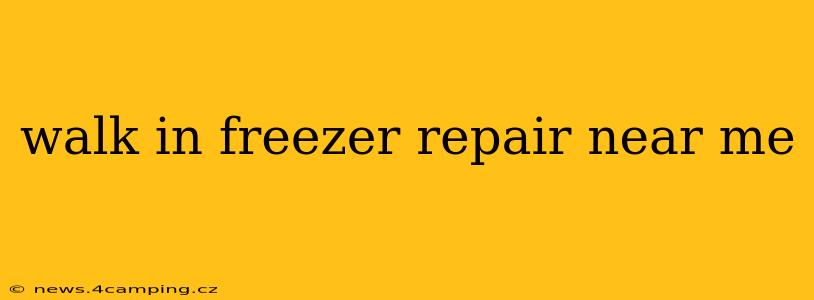 walk in freezer repair near me