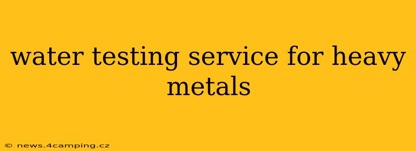 water testing service for heavy metals